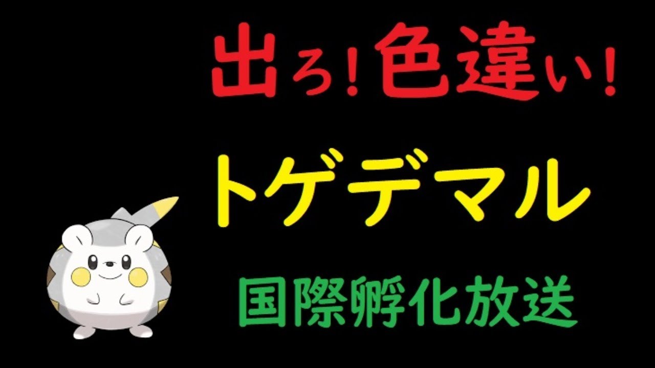 出ろ 色違い トゲデマル国際孵化放送 ポケモン剣盾 Youtube