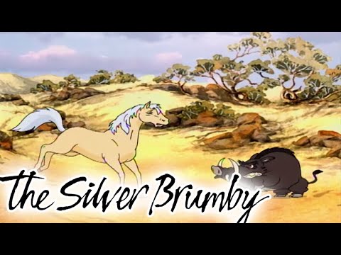 The Silver Brumby | The Angry Warthog | Full Episodes | HD