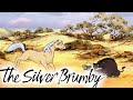 The Silver Brumby | The Angry Warthog | Full Episodes | HD