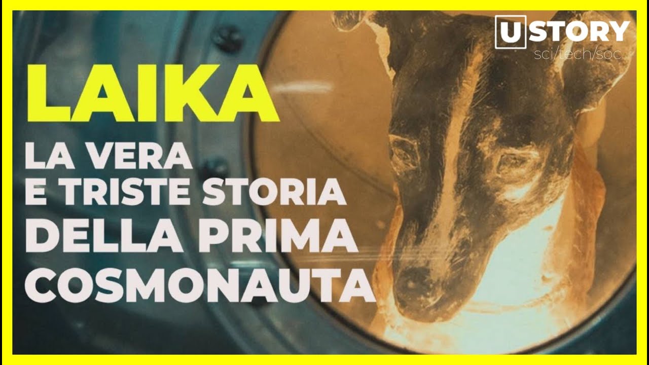 ⁣La triste e vera storia di Laika, prima cosmonauta