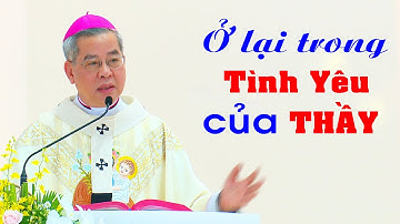 ĐỨC TỔNG GIUSE NGUYỄN NĂNG - GIẢNG LỄ TUYÊN KHẤN TRỌN ĐỜI