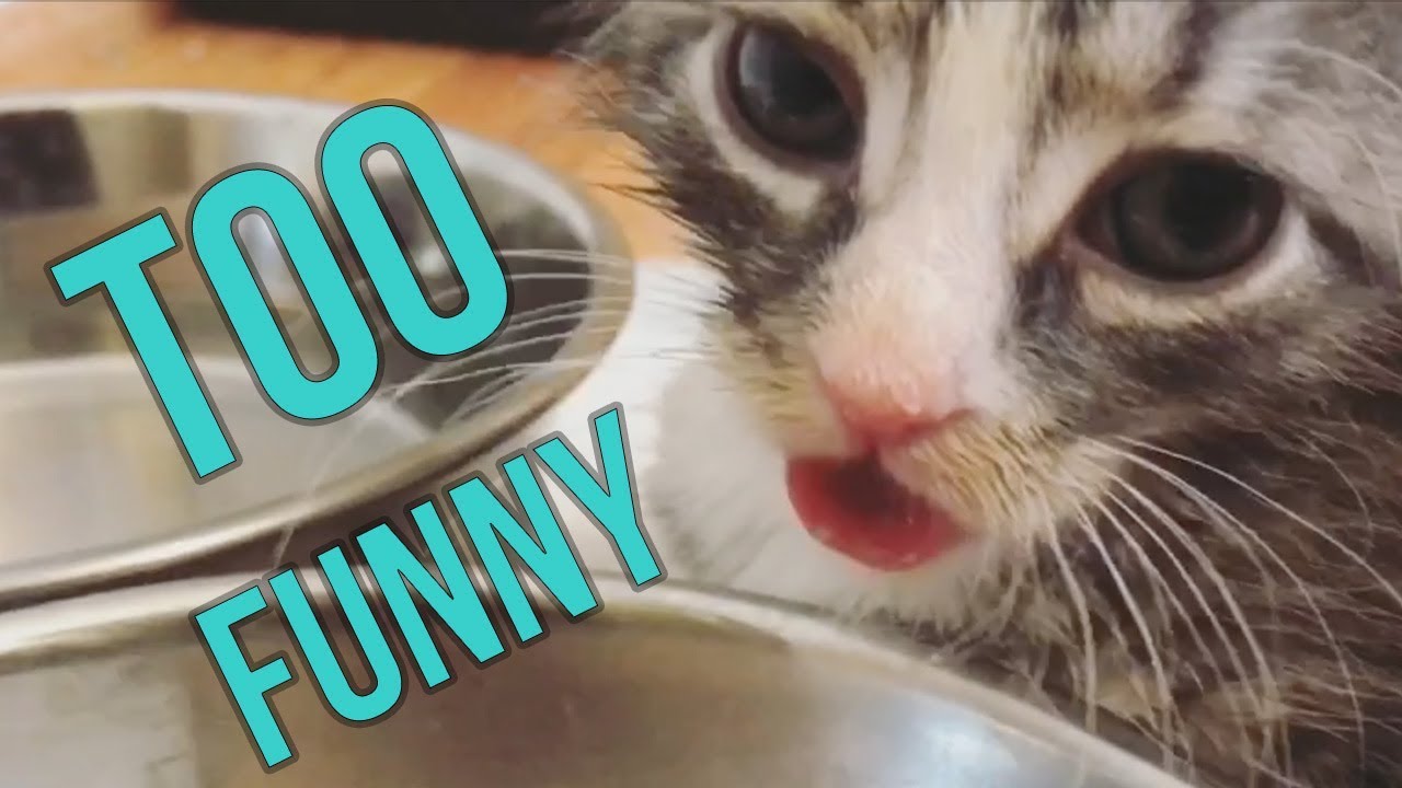 Super Freaky Meat Nursers Youtube Super Freaky Meat Nursers Youtube