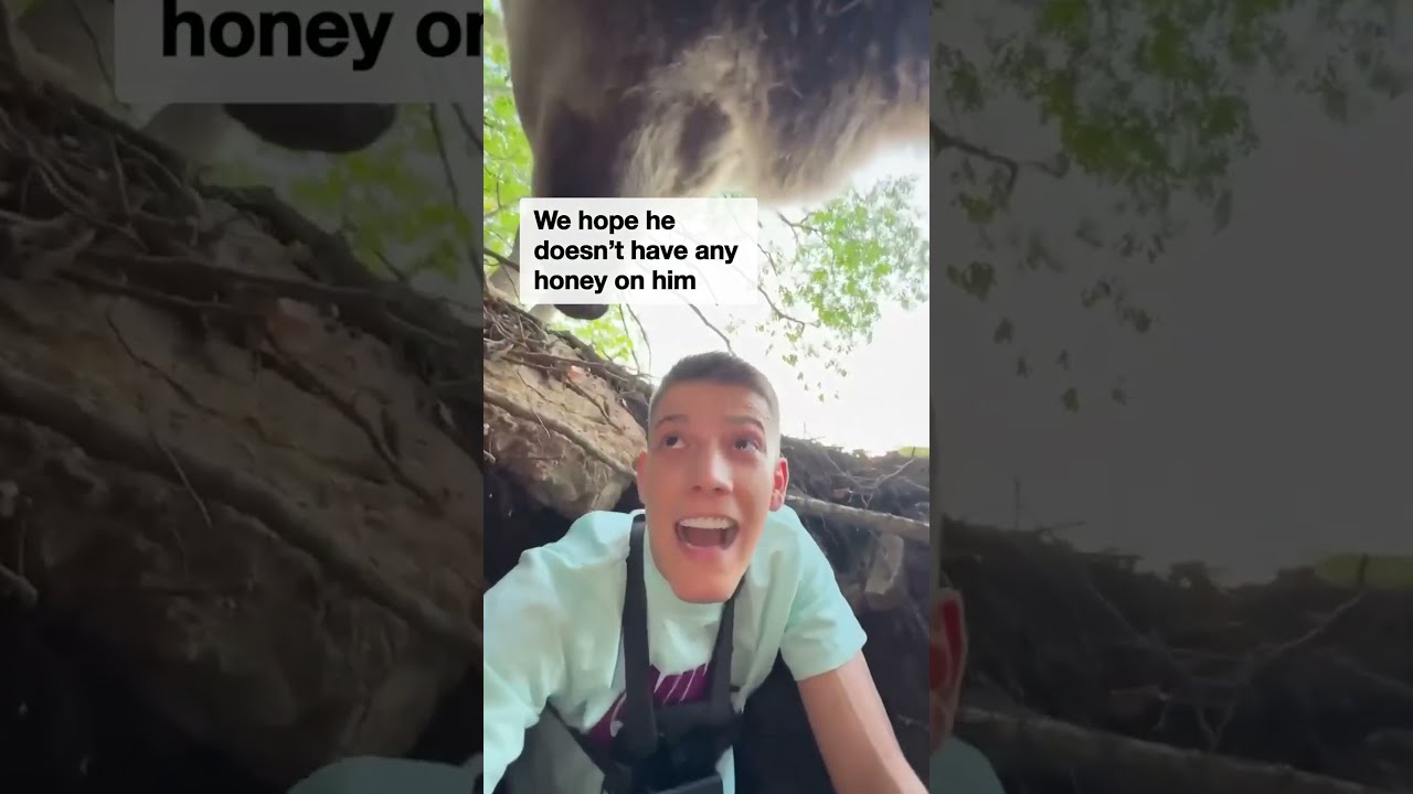Man Has Terrifying Close Encounter With Bear After Climbing Into Its Den