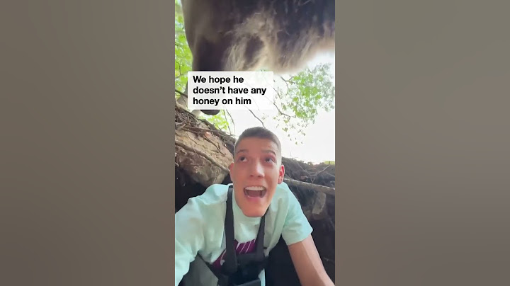 Man has terrifying close encounter with bear after climbing into its den