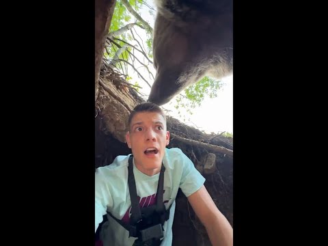 Man has terrifying