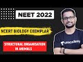 Structural Organisation In Animals | NCERT Exemplar Biology