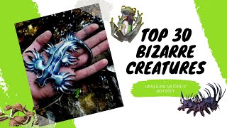 Dreamy Data: Top 30 Bizarre Creatures from Around the World by Dreamy Data 160 views 5 months ago 13 minutes, 51 seconds