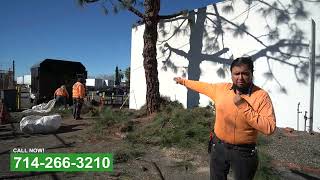 Commercial Tree Trimming Service In Anaheim California