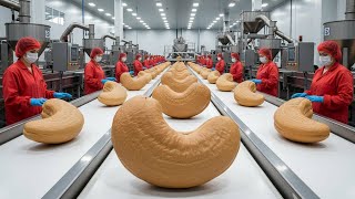 The Secret Inside a Cashew Factory in the U.S. | Automated Production Line