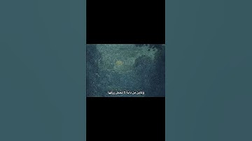 الَّذِينَ صَبَرُوا وَعَلَىٰ رَبِّهِمْ يَتَوَكَّلُونَ🤍#القرآن_الكريم #تلاوة #خشوع #سورة_العنكبوت #آية