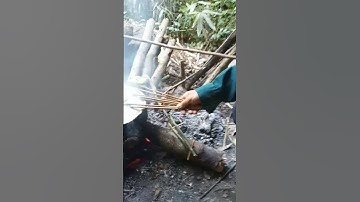 trải nghiệm bữa cơm trong rừng già