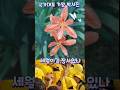 예뻐서 그냥 못가요 💛▶️ #박서진 #현역가왕 #한일톱텐쇼