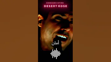 Desert Rose Cheb Mami Sting Duo Rai Dz Algérie 