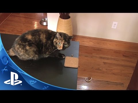 Catlateral Damage - Infomercial Trailer | PS4