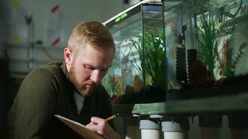 Cody Carlyle – PhD Candidate