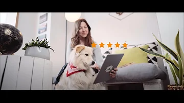 Come registrarmi su zooplus?