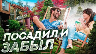 Экономим Силы И Время! Сад Для Ленивых: ТОП-10 Неприхотливых Растений Малого Ухода