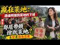 🔥MULTISUB《瘋狂菜地:造謠哄搶我菜地的下場》鄰居帶頭搶我菜地?重生標註「有毒勿食」,貪婪者自食惡果。 #硬核劇社 #ai短劇  #短劇