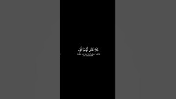اكتب شيء تؤجر عليه 😊🤍القرآن الكريم شاشة سوداء