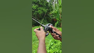 BITCASTING ROD AND REEL #fishing #shorts