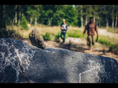 Video: Kada buvo išrastas žodis „neprotingas“?