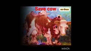 #save#save cow #trueline #hindu bhaiyo save the ग‌ऊमाता#jai hind #jai Hindustan