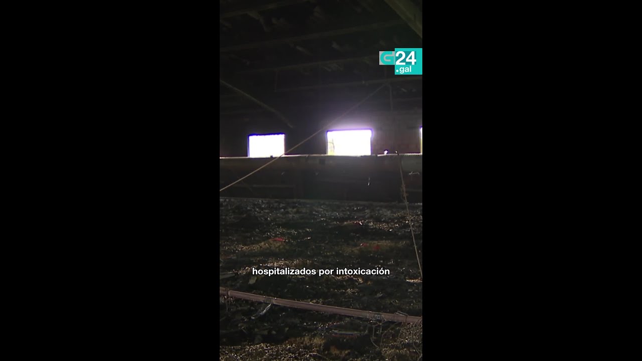 🦃🔥 10.000 PAVOS mortos e dúas persoas feridas nun INCENDIO nunha granxa