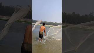 2 Friend cathing big satifish in river #subscribers #viral #shorts Resimi