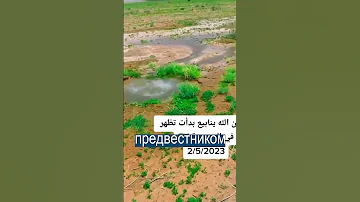 В Саудовской Аравиии ЗАЗЕЛЕНЕЛА ПУСТЫНЯ
