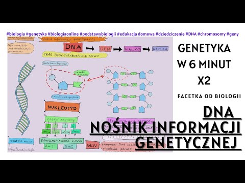 Wideo: Jaki jest proces, który wytwarza nową kopię informacji genetycznej organizmu?