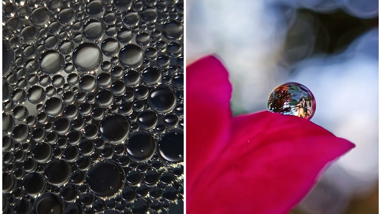 Quarantine Macro  Mobile  Photography  Ideas  5 Creative 