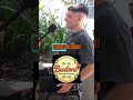 El Delivery Gulero de Budoni