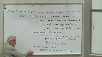 Lect 24 Intro: EPSPs and Synaptic Integration