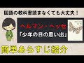 【中1国語】「少年の日の思い出」のあらすじを超わかりやすく解説しました【ヘルマン・ヘッセ】
