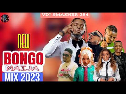 Vdj Smasher 254 Best Of Bongo Naija Mixtape 2024 | Ayra Starr Rema Diamond Alikiba Otile Harmonize