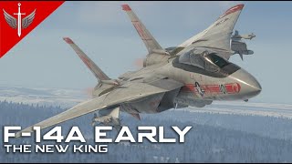 The New King - F-14A Early Danger Zone