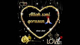 Canim Anam Mene Gore Tik Tok Dan Goturub