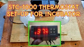How to set-up STC 1000 for INCUBATOR (in Filipino with ENGLISH subtitle)