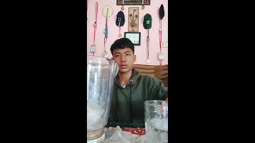 Procedure text, how to make a glass of pop ice