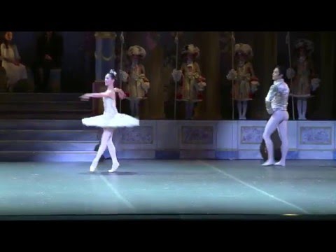 SPOTLIGHT | Misa Kuranaga as Sugar Plum Fairy