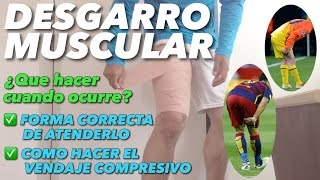 El muscular para del muslo remedio dolor