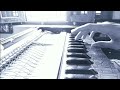 Man Dole Mera Tan Dole | Nagin | Harmonium Cover