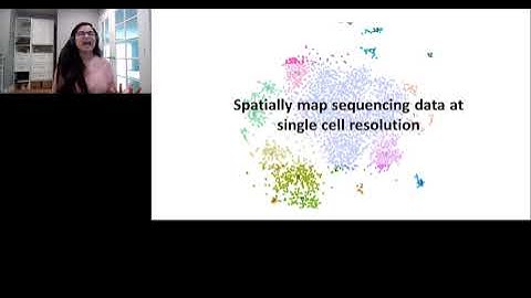 Spatial Mapping of Gene Expression in Tumors using the RNAscope™ Technology