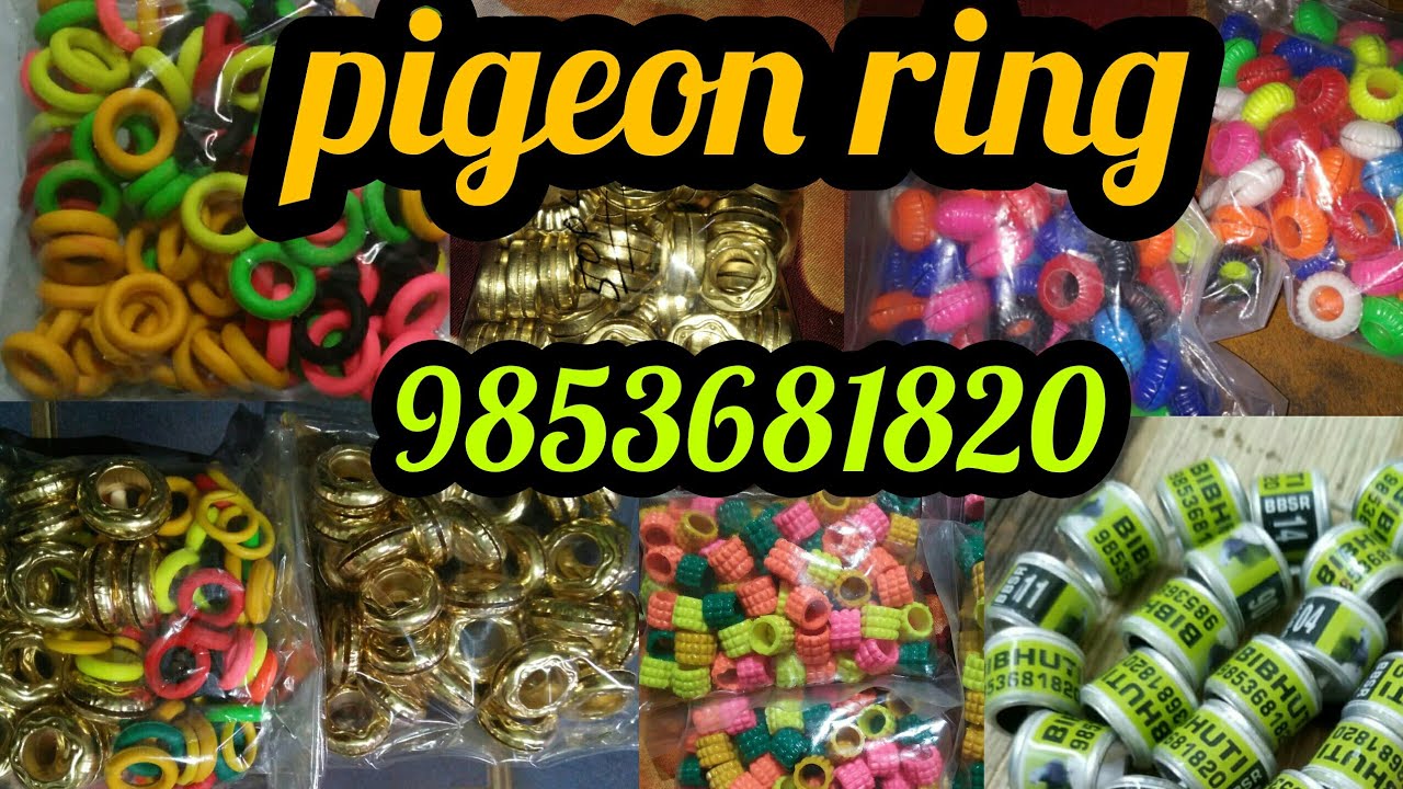 Pigeon Rings & Ghungroo For Sale || कबूतरों के छल्ले बिक्री के लिए उपलब्ध  है | - YouTube
