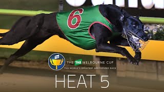 2018 TAB Melbourne Cup Heat 5 | Black Opium