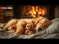 Soothing Music Helps Your Dog Reduce Stress and Anxiety When Away from Home | Music for Puppies 11H
