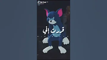 صفر المية الحالة ضنق 