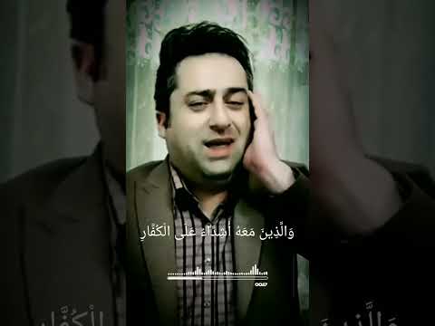 فوق الوصف وإبداع منقطع النظير للقارئ الإيراني سيد تقي شكري نغمة البيات