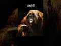 #shorts jungle book part 5