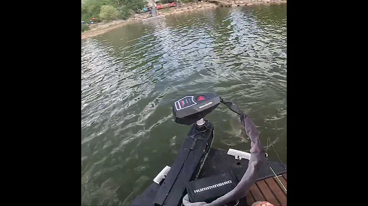 CRAZY Fish Catch #shorts